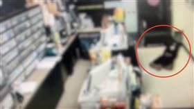 欠錢遭7惡煞擄上山圍毆！又丟包超商