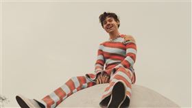 ▲《哈利屋》在台灣奪下Apple Music、Spotify專輯榜冠軍（圖／業者提供）