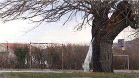 樹噴水已成當地特殊的景觀。（圖／翻攝自Radio Free Europe／Radio Liberty youtube）