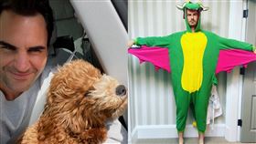 ▲費德勒在個人社群宣布養狗，莫瑞身穿龍裝。（組合圖／翻攝自Roger Federer、Andy Murray IG）