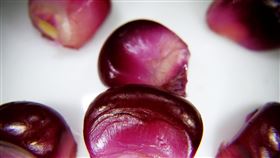 ▲罕見紫色食物 黑玉米 紫玉米「黑到發亮」抗氧化很強！營養師：整根都是寶 （圖／記者許雅惠攝影）