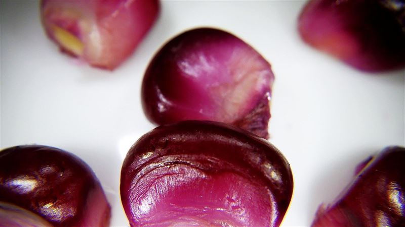 這食物罕見「黑到發亮」營養師：很威
