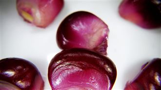 這食物罕見「黑到發亮」營養師：很威