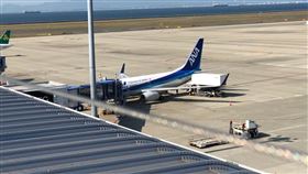 飛機(陳弋攝影)