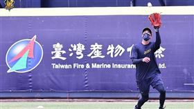 ▲中信兄弟林志綱。（圖／中信兄弟球團提供）