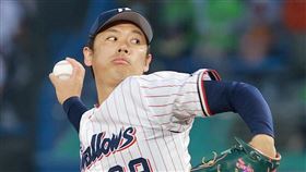 ▲養樂多投手小川泰弘。（資料照／取自養樂多燕子官網）