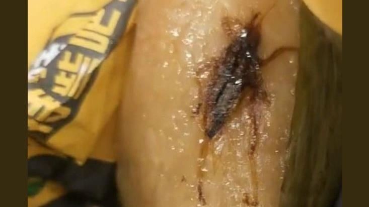 肉粽包「野生油蔥酥」？謎之形狀噁翻