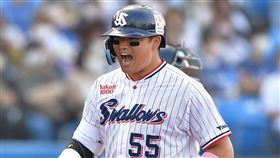 ▲養樂多村上宗隆。（圖／取自養樂多燕子FB）