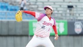 ▲味全龍王維中。（圖／味全龍球團提供）