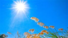 炎熱,高溫（示意圖／Pixabay）