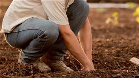 挖土，種菜，農夫，田，農地（示意圖／翻攝自unsplash）
