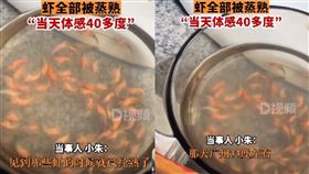 竟發現蝦子已經熟了。（圖／＼翻攝自《西部視頻》）