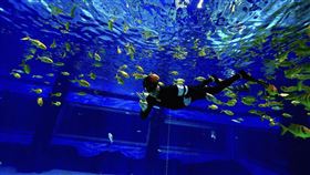 陳曉東/火爆娛樂提供