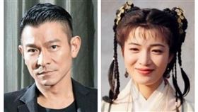 ▲劉德華；陳少霞。（圖／翻攝自百度百科）