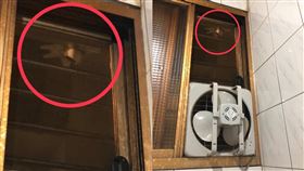 她家廁所外被鄰居裝監視器 警察給1理由稱「無違法。爆怨公社