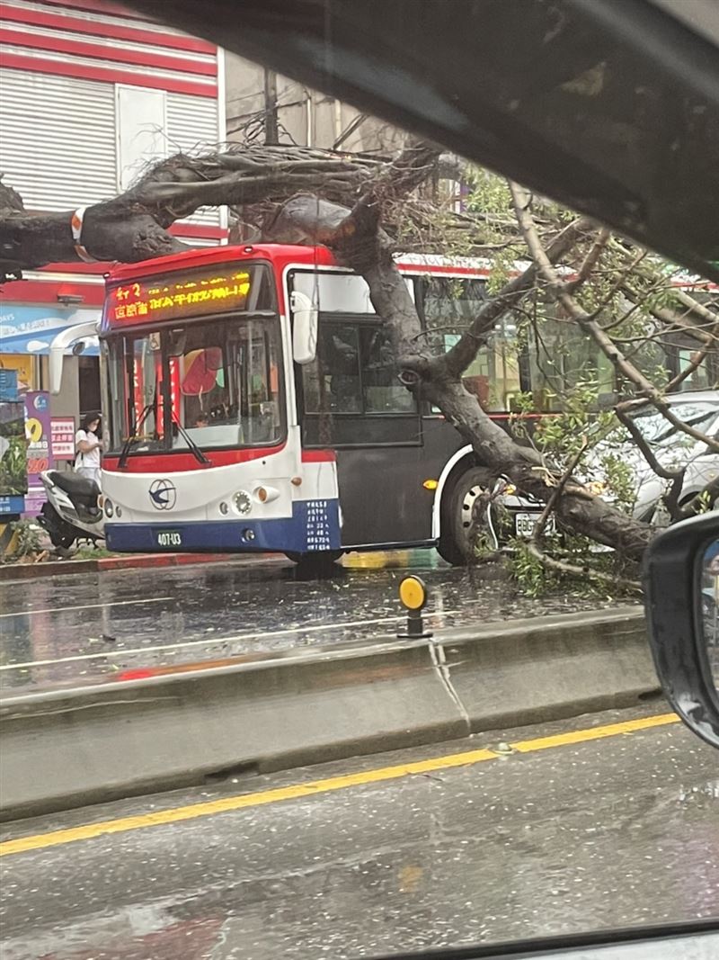 路樹倒塌壓到一部公車與轎車。（圖／翻攝畫面）