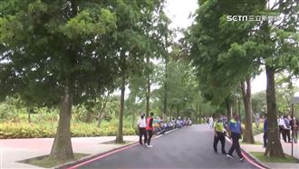 大溪落羽松公園啟用　必訪絕美景緻