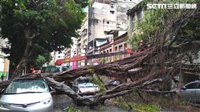  台北市大同區涼州街發生路樹倒塌意外。（圖／翻攝畫面）