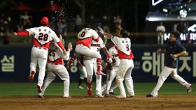 ▲光州KIA虎。（資料照／取自KIA虎官網）