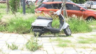 獨／小車佔大格！「免費停車」釀亂象