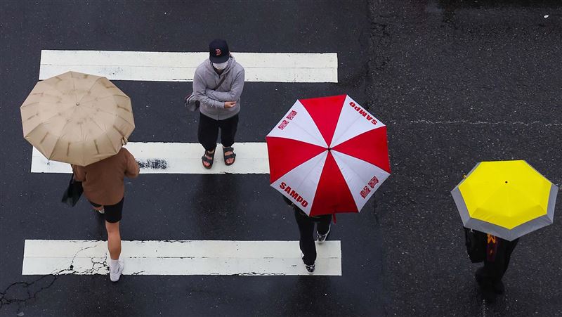 2022年雨王出爐！一年下了約4層樓高雨水