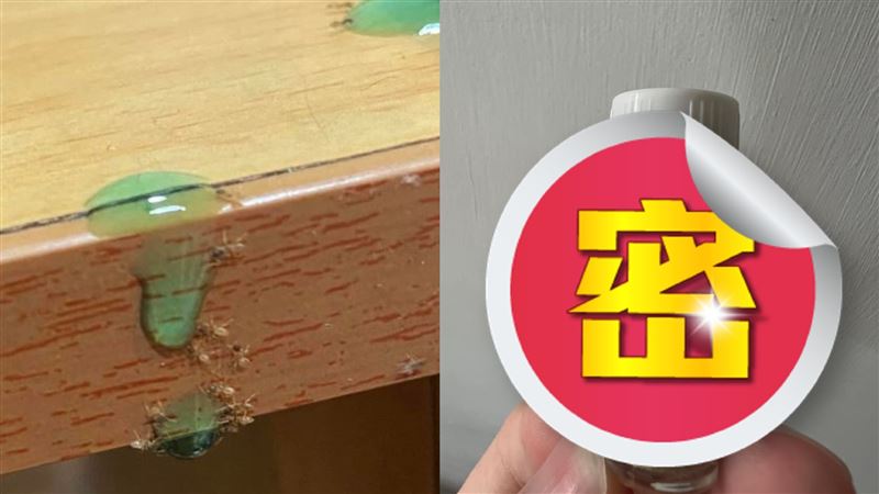 終極滅蟻法　網推1物：甜點老闆也用