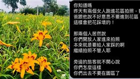 賞花,農場,拍照,踩花(翻攝自 臉書)