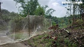 高雄市,甲仙,電網,農民,觸電,心因性休克