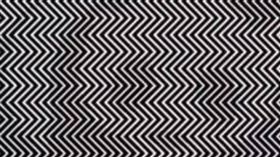 ▲黑白線條隱藏動物圖形，網紅稱僅1%的人能看到。（圖／翻攝自TikTokhecticnick）