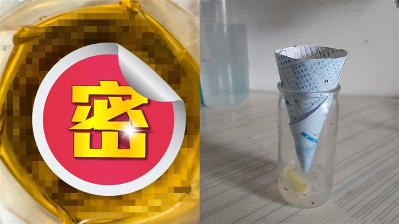 果蠅退散！網推爆1方法：便宜又有效