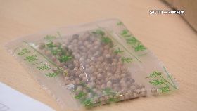 文 中種子滲台1200