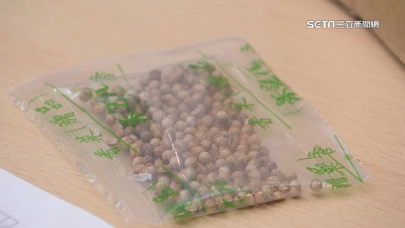 立委踢爆中國走私種子　假裝飾品闖台