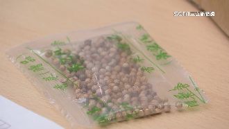 立委踢爆中國走私種子　假裝飾品闖台