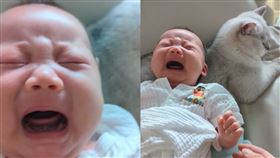 原PO把寶寶靠在愛貓身上，沒過幾秒就停止哭泣。（圖／翻攝自《@reallyumt》Reddit）
