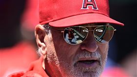 ▲「鬼才教練」梅登（Joe Maddon）遭天使開除。（圖／美聯社／達志影像）