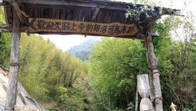 司馬庫斯,櫻花,管制,車輛（圖／新竹縣政府提供）