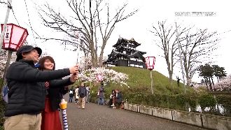 9月有望解禁出團　日韓機票漲一倍！