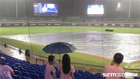 打到一半雨神來亂，新莊獅悍將之戰保留到下週一進行補賽。（圖／記者蔡厚瑄攝影）
