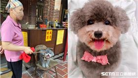 毛孩收驚／李沛藍授權提供