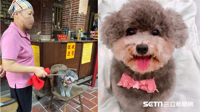 毛孩做惡夢嚇哭　進寺廟收驚超乖萌