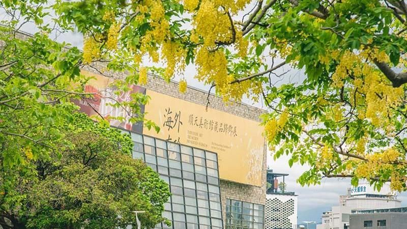 今夏浪漫黃金雨在台中國立美術館！