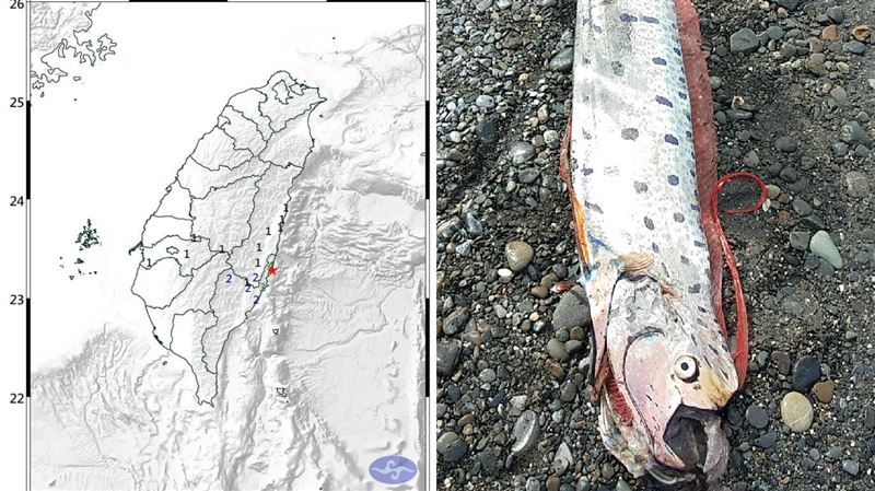 巧合？昨釣到地震魚　台東今地震了
