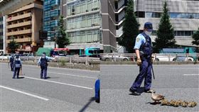 花嘴鴨過馬路 警察 （圖／翻攝自推特@joycooonote）