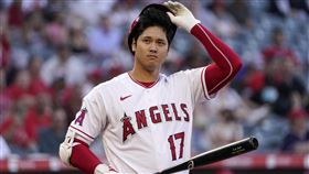 ▲大谷翔平連7場比賽敲安。（圖／美聯社／達志影像）