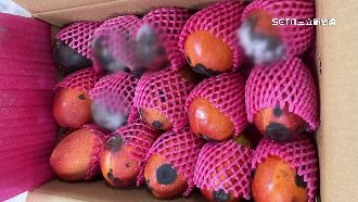 獨／宅配芒果9天才收到　開箱已發黑