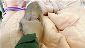 88歲苦命阿嬤／弘道老人福利基金會