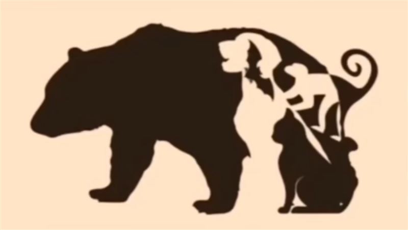 熊圖中有幾種動物？僅1%的人能找到