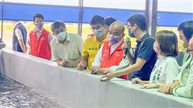 ▲立委鍾佳濱說，台灣石斑肉質鮮嫩、沒有腥味，還含有大量膠原蛋白，堪稱美容護膚之魚。（圖／翻攝自鍾佳濱臉書）