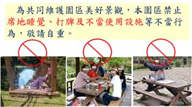 溪頭，亂躺，做瑜珈，野炊，打麻將，釘紅檜當傘架　（圖／翻攝畫面）