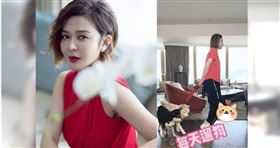 關之琳曬6億豪宅！粉絲見「在客廳就能遛狗」：太超過了，（圖／翻攝自關之琳微博、抖音）